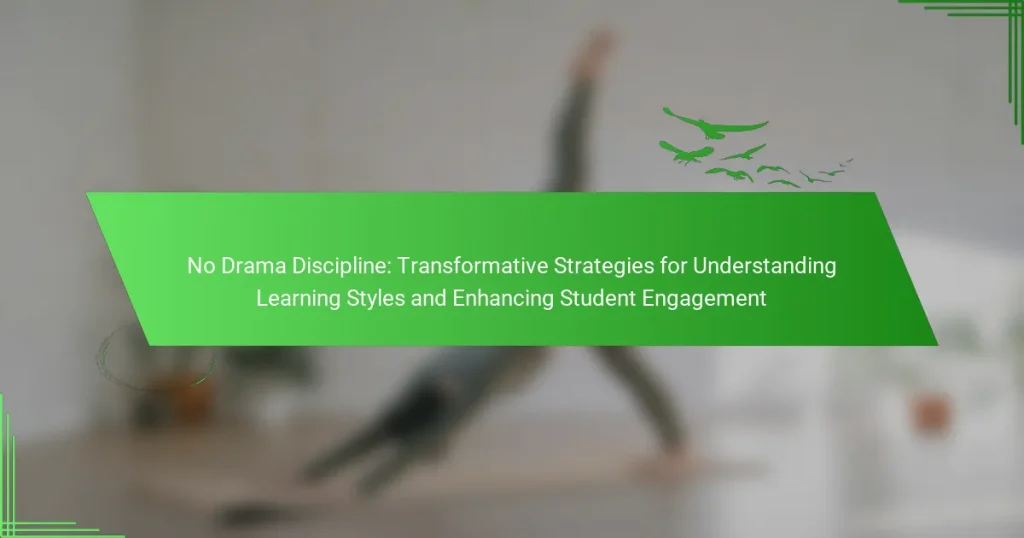 No Drama Discipline: Transformative Strategies for Understanding Learning Styles and Enhancing Student Engagement
