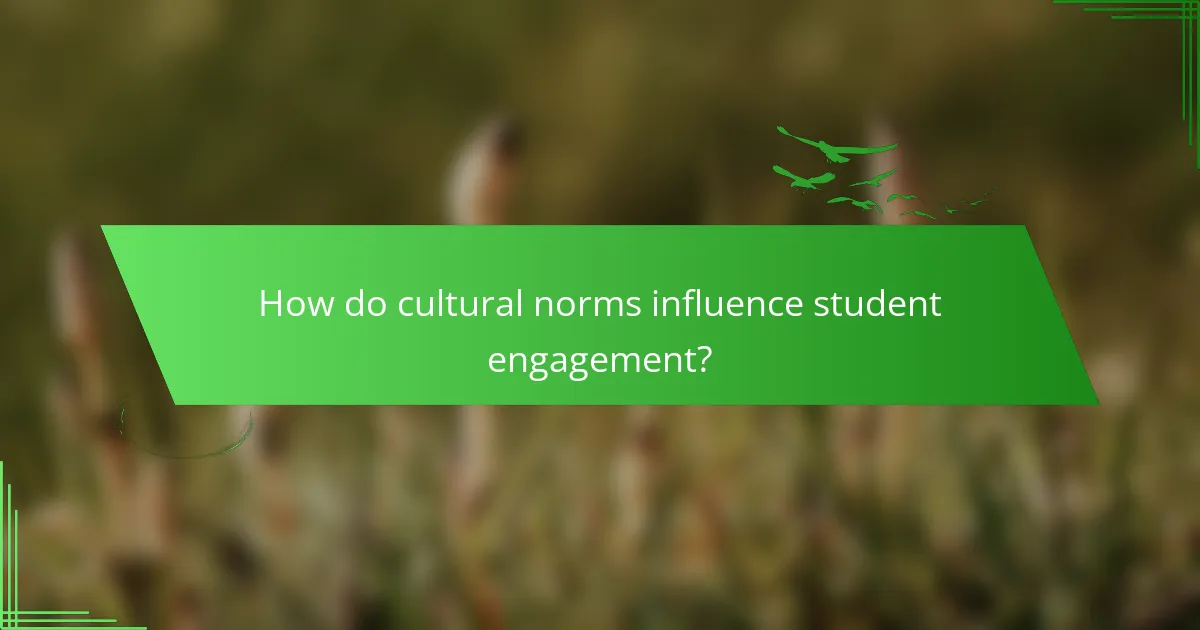 How do cultural norms influence student engagement?