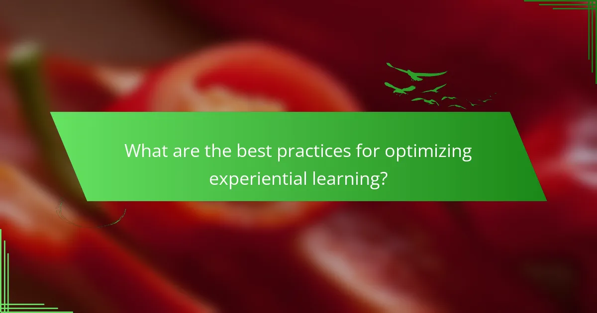 What are the best practices for optimizing experiential learning?