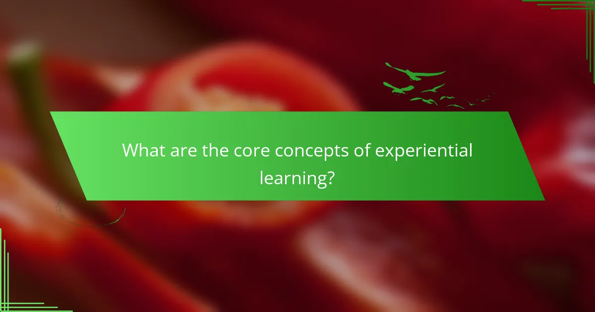 What are the core concepts of experiential learning?
