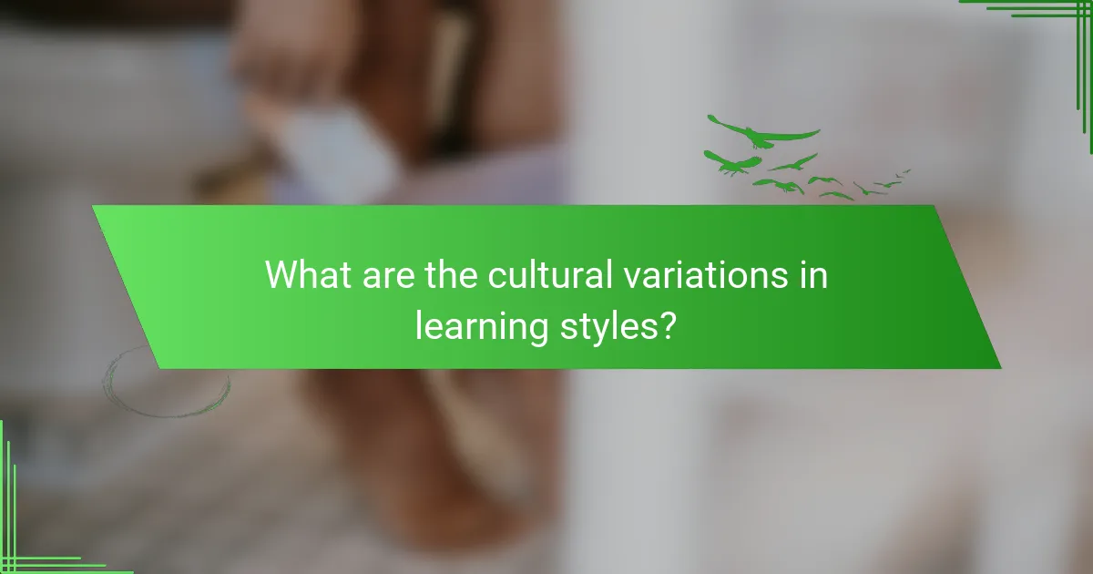 What are the cultural variations in learning styles?