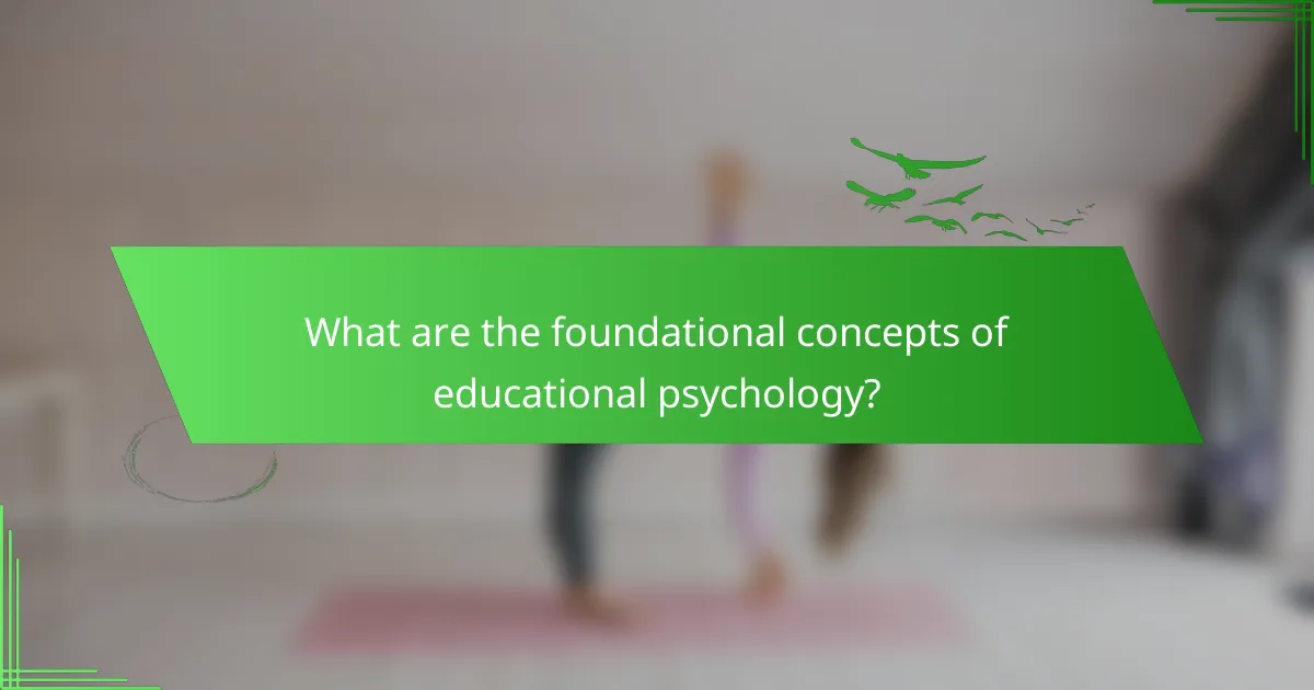 What are the foundational concepts of educational psychology?