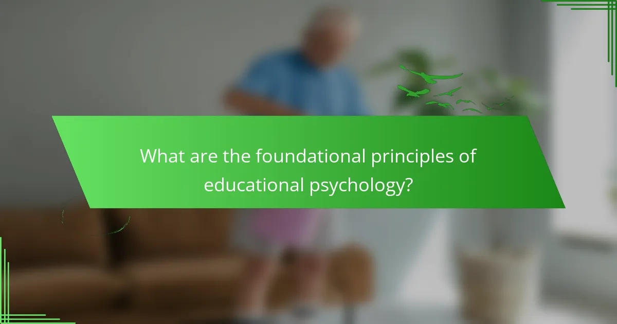 What are the foundational principles of educational psychology?