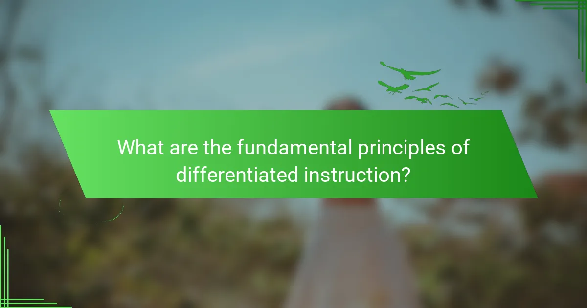 What are the fundamental principles of differentiated instruction?