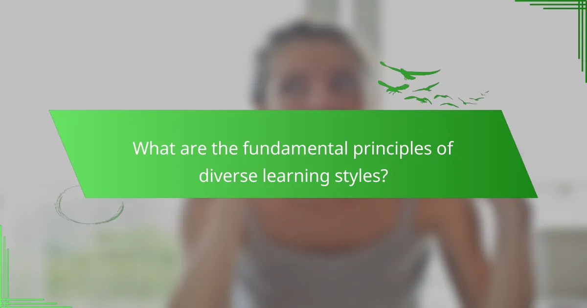 What are the fundamental principles of diverse learning styles?