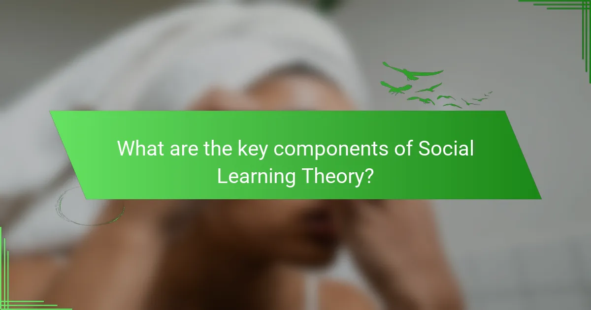 What are the key components of Social Learning Theory?