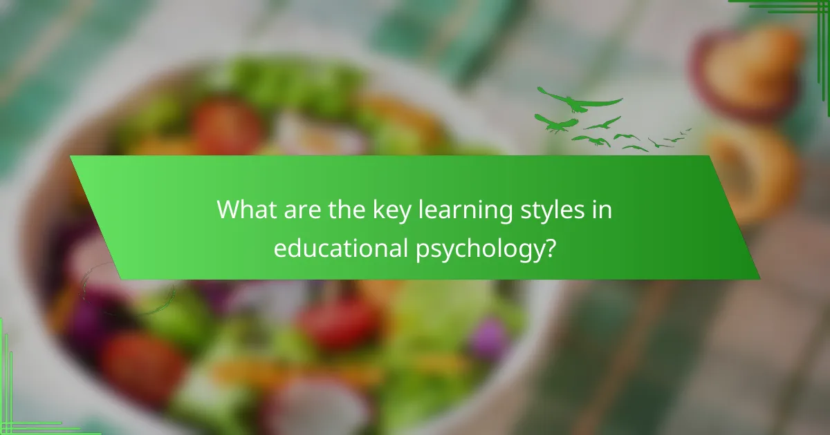 What are the key learning styles in educational psychology?