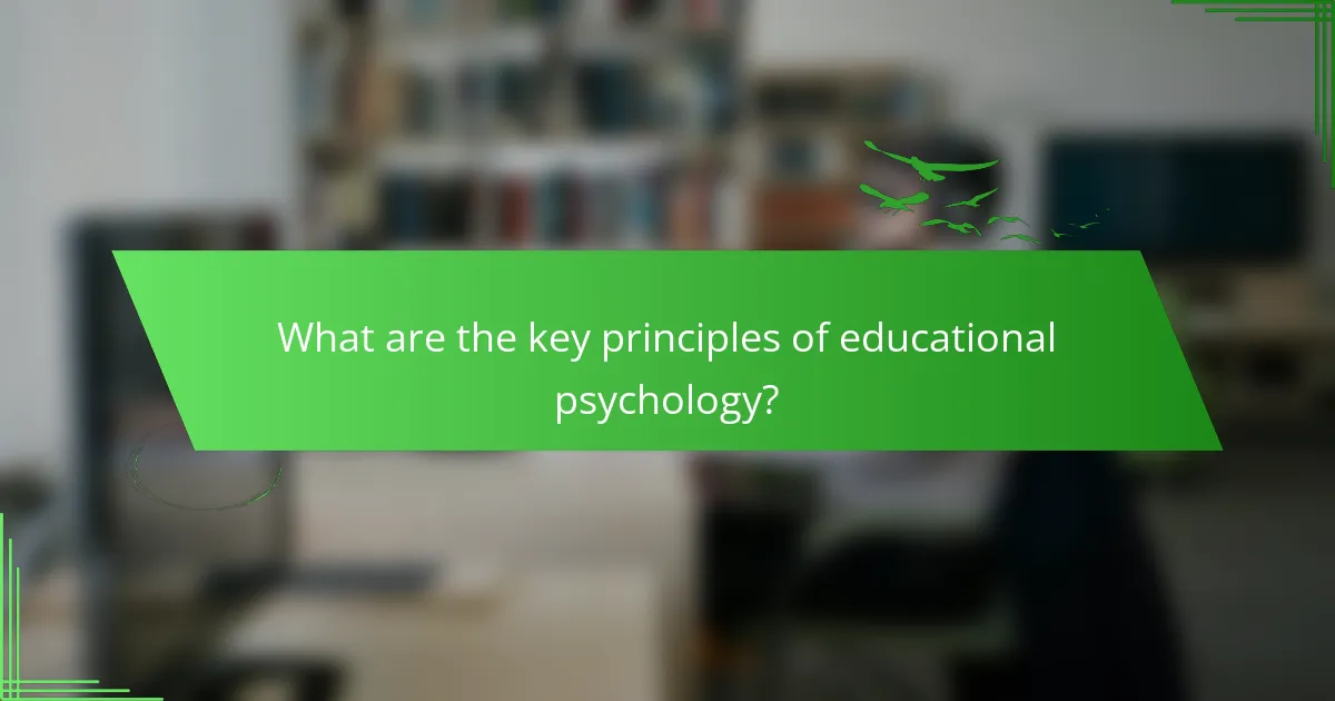 What are the key principles of educational psychology?