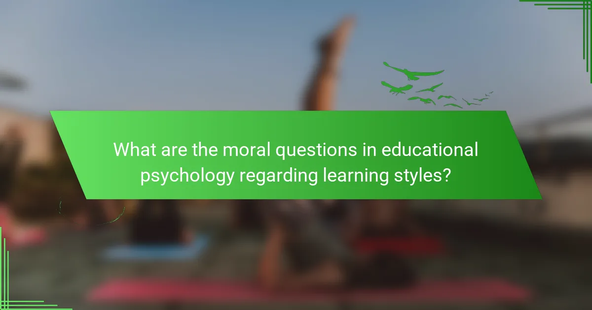 What are the moral questions in educational psychology regarding learning styles?