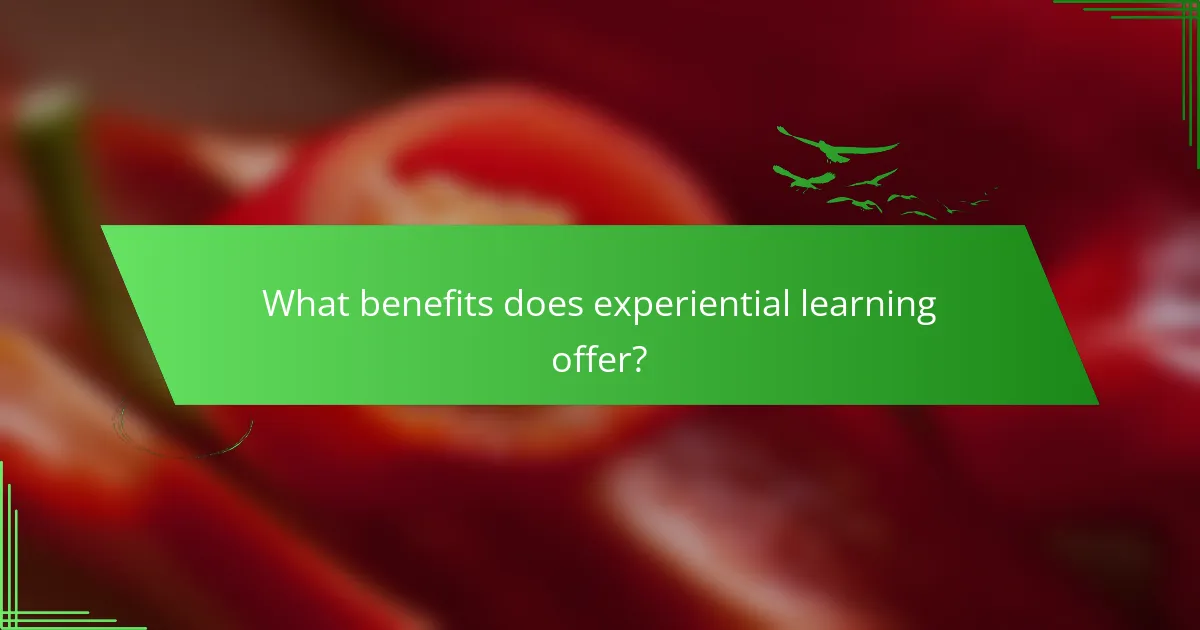 What benefits does experiential learning offer?