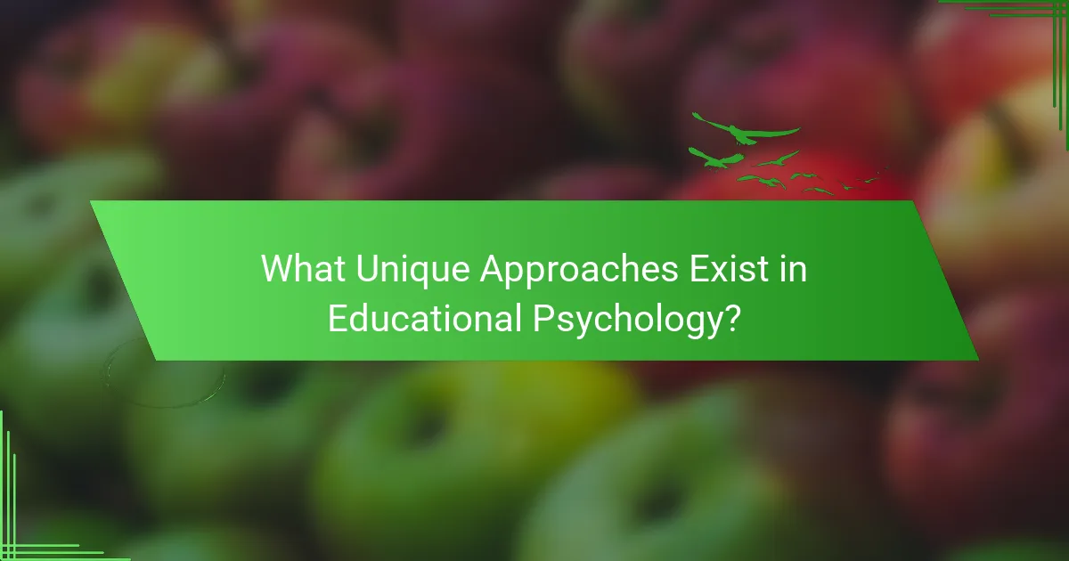 What Unique Approaches Exist in Educational Psychology?